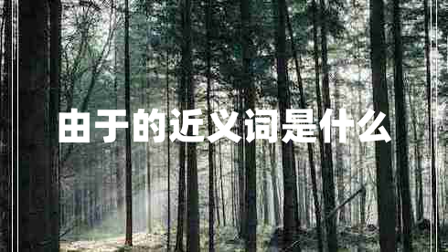 由于的近義詞是什么
