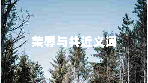 榮辱與共近義詞