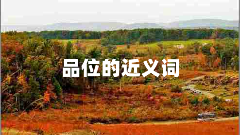 品位的近義詞