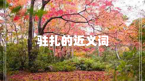 駐扎的近義詞