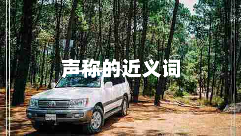聲稱(chēng)的近義詞