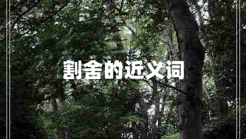 割舍的近義詞