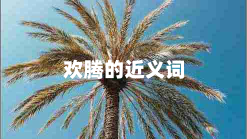 歡騰的近義詞