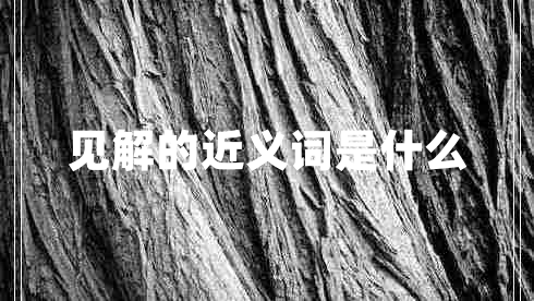 見(jiàn)解的近義詞是什么