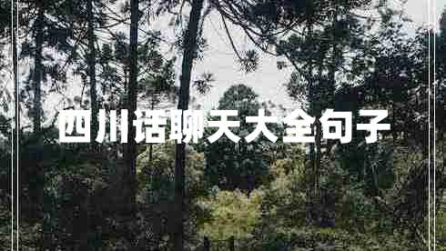 四川話聊天大全句子
