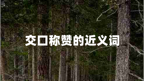 交口稱(chēng)贊的近義詞