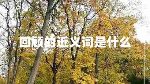 回顧的近義詞是什么