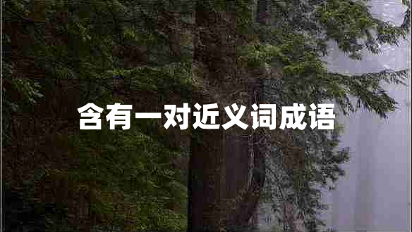 含有一對(duì)近義詞成語