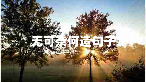無(wú)可奈何造句子