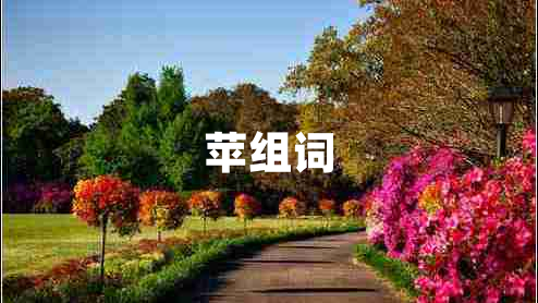 蘋組詞