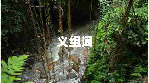 義組詞