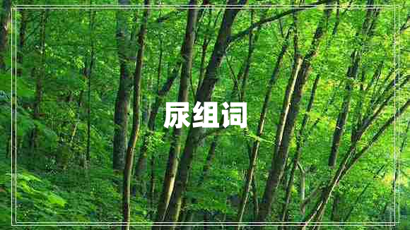 尿組詞
