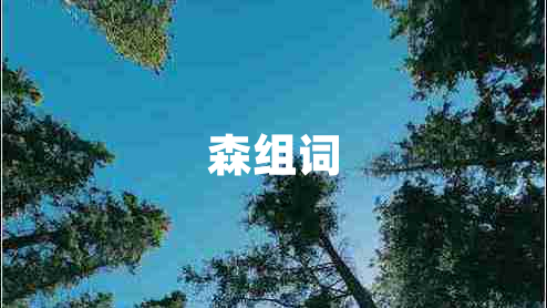森組詞