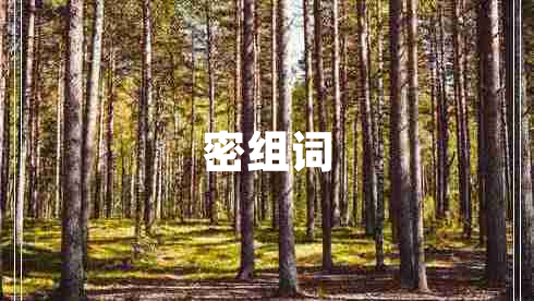 密組詞