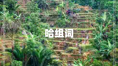 哈組詞