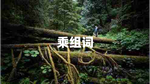 乘組詞