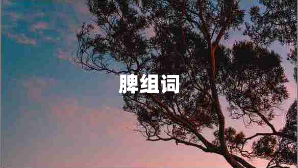 脾組詞