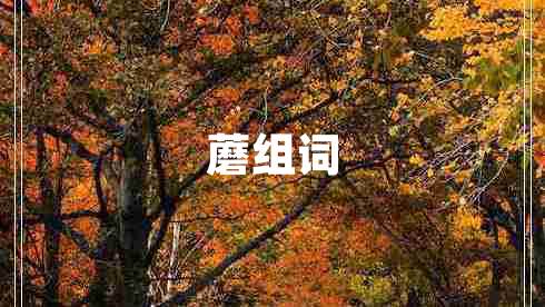 蘑組詞
