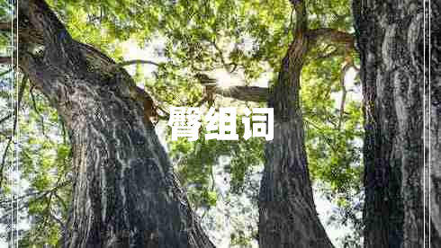 臀組詞