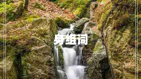 身組詞