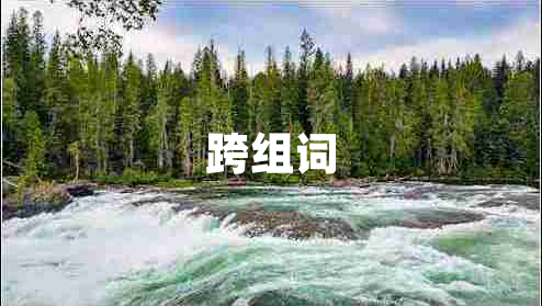 跨組詞