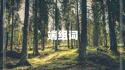 端組詞