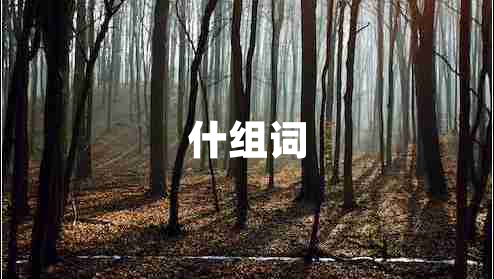 什組詞