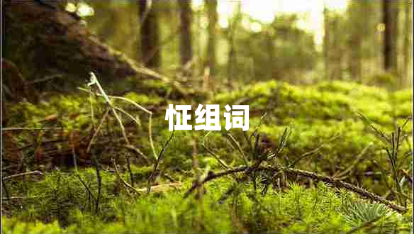 怔組詞