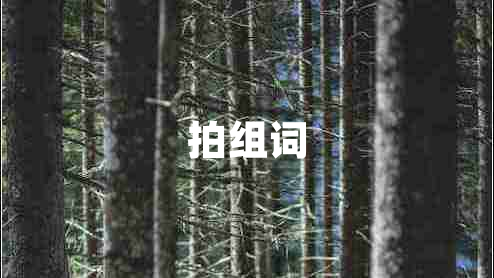 拍組詞