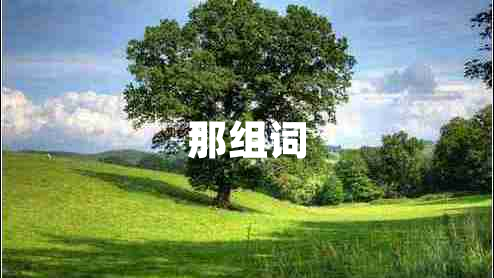 那組詞