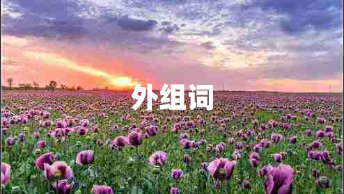 外組詞