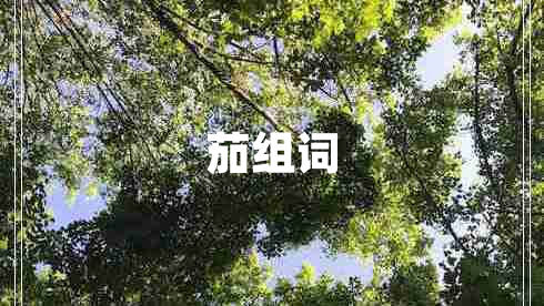 茄組詞