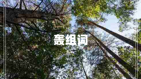 轟組詞