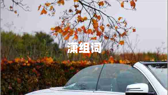 瀟組詞
