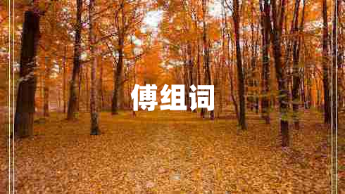 傅組詞