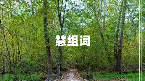 慧組詞