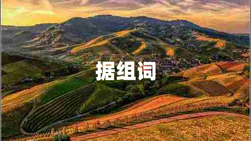 據(jù)組詞