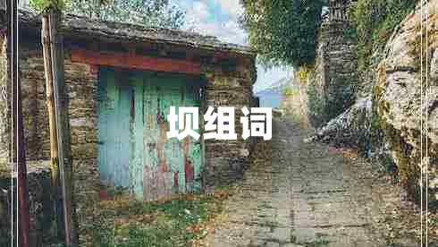 壩組詞