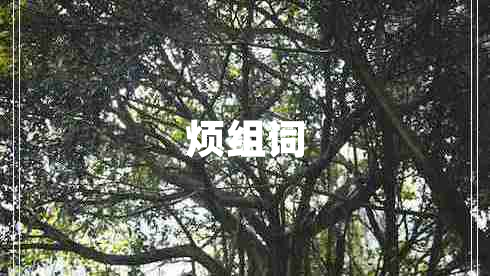 煩組詞