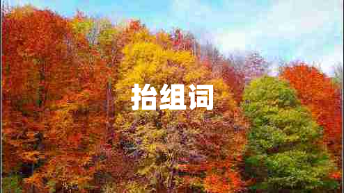 抬組詞