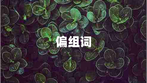偏組詞