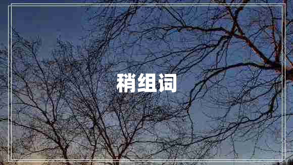 稍組詞