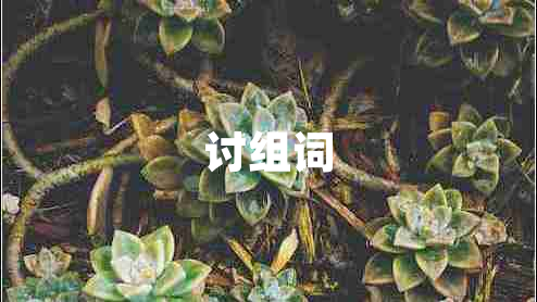 討組詞