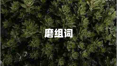 磨組詞