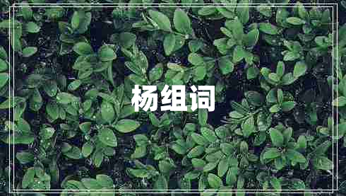 楊組詞