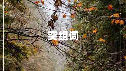 突組詞