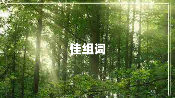 佳組詞