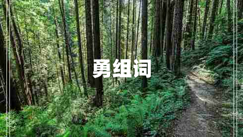 勇組詞