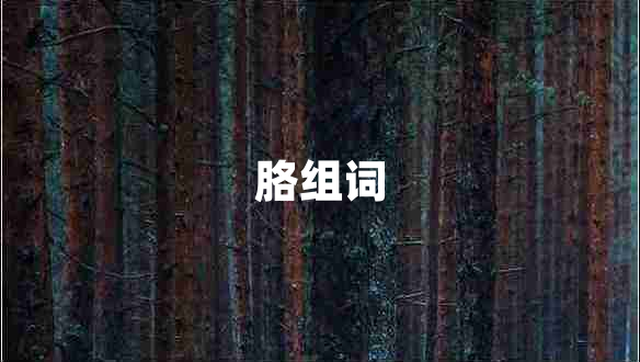 胳組詞