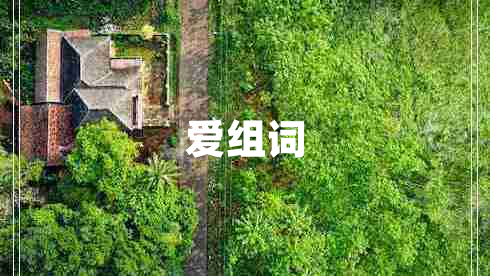 愛組詞